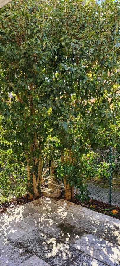 Jasmine Country House Vicenza Luaran gambar